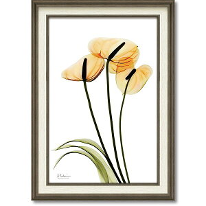 uAXEvX|RAY@LoXA[g@mGʔ́nԁ@gQA[g@A[gyĜ炵zyǊ|tbNz