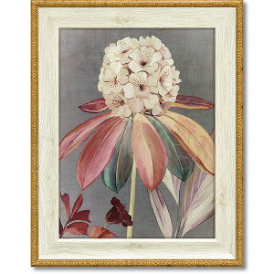 utFA[e[3vGCWACFZ iԁEÕjQHA[g|X^[mGʔ́nyǊ|tbNtzyĜ炵z