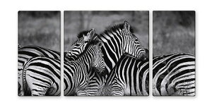 ZEBRA MONOyurban stylezmGʔ́nyĜ炵z܂܁@V}E}@@A[gyǊ|tbNz