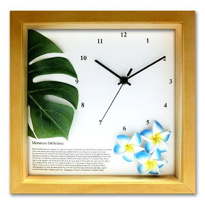 Xe/vAiu[Ei`jmasianEhawaiianny|vEnCEv[gzmGʔ́nyĜ炵z