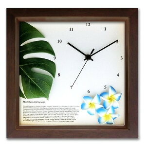 Xe/vAiu[EuEjmasianEhawaiianny|vEnCEv[gzmGʔ́nyĜ炵z