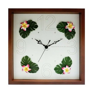 vAsNiuEjmasianEhawaiianny|vEnCEv[gzmGʔ́nyĜ炵z