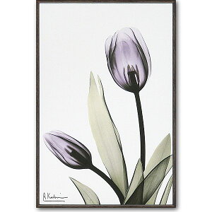 u`[bvvX|RAY@LoXA[g@mGʔ́nԁ@gQA[g@A[gyĜ炵zyǊ|tbNz