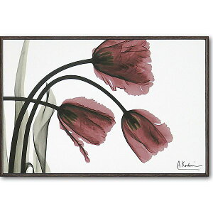 utW`[bvvX|RAY@LoXA[g@mGʔ́nԁ@gQA[g@A[gyĜ炵zyǊ|tbNz