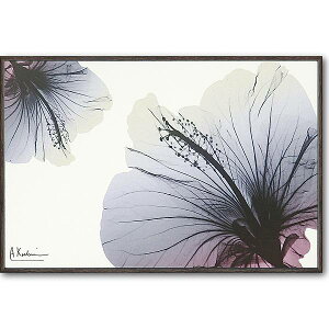 unCrXJXvX|RAY@LoXA[g@mGʔ́nԁ@gQA[g@A[gyĜ炵zyǊ|tbNz