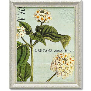 u{^j[Nu[1vChAbvX^WI EԁiÕjA[g|X^[mGʔ́nyǊ|tbNtzyĜ炵z