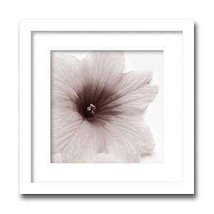 uJk driggs/Blossom(three)vitHgOt@CeAA[gt[jmGʔ́nyĜ炵zyǊ|tbNz