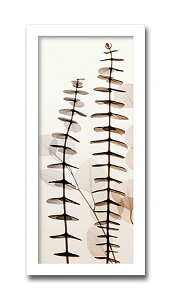 uEucalypti3vyX-ray PhotographzSteven N.MeyersiGbNXC@tHgOt@CeAA[gt[jmGʔ́nyĜ炵zyǊ|tbNz