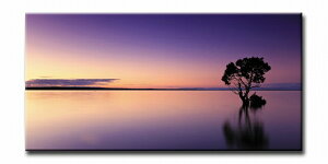 CANVAS ARTiLoXA[gjSun SetiTZbgj[Ăiyurban stylezmGʔ́n[ĂEtHgiEiA[gyǊ|tbNtzyĜ炵z