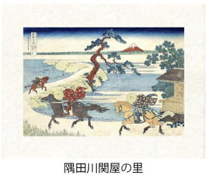 uc։̗v(݂킹̂)kցiEYo^AyԎO\Zi猩xmRV[YjyfW^ŉAtXROtBbNy[p[ڊygpzyasv