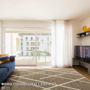 y11/30~12/1  ő5000~It!z190×190cm t@u[YCZXLRۃO O L R h_j Չ Vііh~ |GXe100% { i