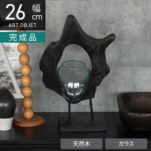 26cm KXIuWF VR ubN IuWF u KXG Ԋ t[|bg eE ANAE CeAG  rO  i