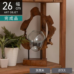 26cm KXIuWF VR uE IuWF u KXG Ԋ t[|bg eE ANAE CeAG  rO  i