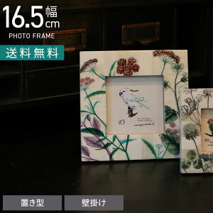 16.5cm tHgt[ CZ ʐ^ ʐ^  CeAG rO  i