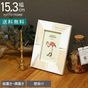 15.3cm tHgt[ `R[ ʐ^ ʐ^ W CeAG rO  i