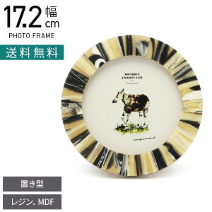 17.2cm tHgt[ GX^[ ʐ^ ʐ^ W CeAG rO  i