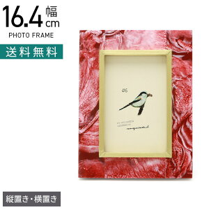 16.4cm tHgt[ GV[ ʐ^ ʐ^ W CeAG rO  i