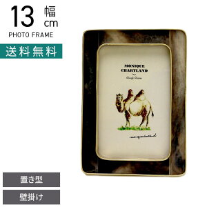 13cm tHgt[ ~` ʐ^ ʐ^ W ^J CeAG rO  i