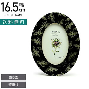 16.5cm tHgt[ ArJ ʐ^ ʐ^ W CeAG rO  i