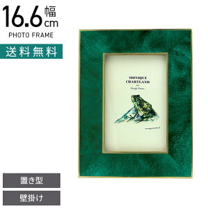 16.6cm tHgt[ A~T ʐ^ ʐ^ W ^J CeAG rO  i