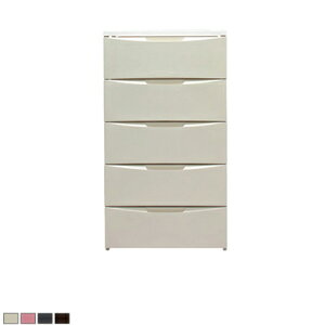 55cm M[`FXg 5i ot ߗގ[ ߑP[X [P[X i