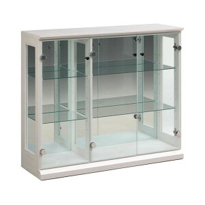 【設置無料】幅96.5cm コレクションケース ガラス 収納 棚 スリム フィギュアケース ショーケース コレクションボード ディスプレイケース ディスプレイラック 飾り棚 おしゃれ