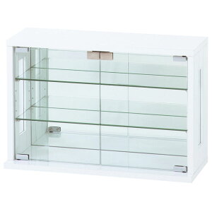 yő10%OFF&P5{!z60cm RNVP[X  KX wʃ~[ RpNg ^ [ I tBMAP[X RNVbN KXP[X RNVI   uE