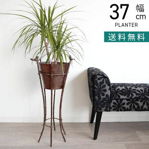 y11/30~12/1  ő5000~It!z37cm ACA X^hv^[  CeAG u Jo[ AeB[N v^[Jo[ K[fG v^[X^h   