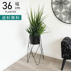 [2,000~OFFN[|]36cm ACA X^hv^[ CeAG Jo[ _ v^[Jo[ K[fG AؔJo[ 5 v^[X^h    ubN