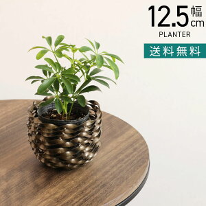 yő10%OFFN[|P10{! BFz12.5cm ACA Jo[S CeAG t[|bg 3 v^[Jo[ |bgJo[ K[fG AؔJo[ _ Ԋ  