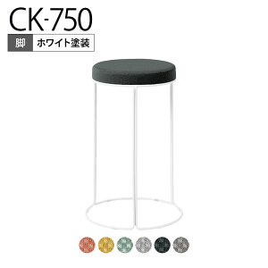 yݒuzXc[ CK-750 ۈ֎q ~hnC^Cv zCghr X^bLO\ K18-W84C-G2 RN