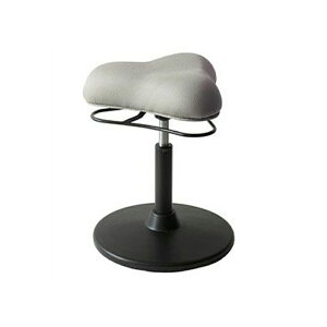 yő10%OFFN[|P10{! BFzv|[VXc[ XCOJE^[`FA/[^Cv 410×s410×510`660mm