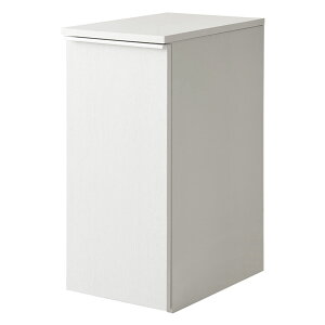 [ő9000~OFFN[|]30cm S~ 45L h[_Xg{bNX o^Cv ؖڒ Ƌ X LX^[t  _Xg{bNX TChe[u  Lb` rO