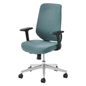 ItBX`FA YS-1 It LX^[t o[T|[g VNbLO lԍHw bV t@ubN [N`FA ֎q   O[ u[