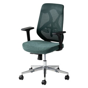 ItBX`FA YS-1 It LX^[t o[T|[g VNbLO lԍHw bV t@ubN [N`FA ֎q   O[ u[