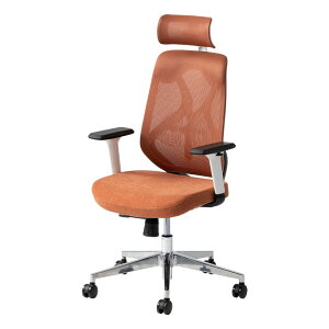 ItBX`FA YS-1 It wbhXgt o[T|[g [hE^ VNbLO lԍHw bV fXN`FA ֎q  zCg