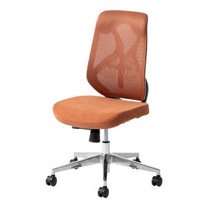 ItBX`FA YS-1 IȂ o[T|[g lԍHw VNbLO bV`FA fXN`FA e[N֎q  zCg 