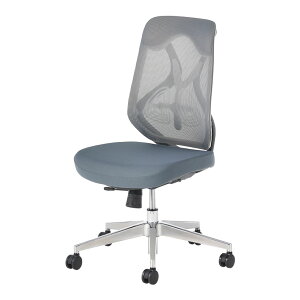 ItBX`FA YS-1 IȂ o[T|[g lԍHw VNbLO bV`FA fXN`FA e[N֎q  zCg 