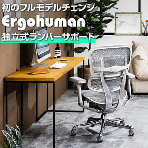 ItBX`FA GSq[} v2 Ergohuman PRO2 V [^Cv @\ Ɨo[T|[g EHP2-LAM-DR ݑ[N ֎q bV`FA fXN`FA [N`FA