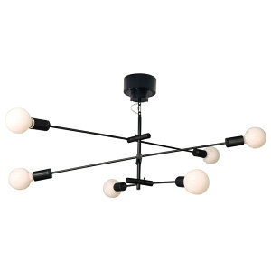 y11/30~12/1  ő5000~It!zyMdtz6 y_gCg J[fBi Cg ݂艺 Ɩ CeA X`[ VƖ Vv_ V[OCg  r