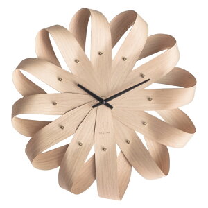 yő10%OFFN[|P10{! BFz51cm AiO |v kazaguruma JUO} XC[v É ǎv CeA EH[NbN k i` Ǌ|v  rO 