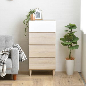 44.5cm HELM (w) `FXg 4i ؖ o [ TCh`FXg k