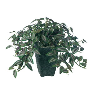 yő10%OFFN[|P10{! BFzϗtA lH  Zui 250mm TCY :PXNGA(BK) i