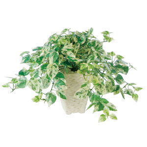 yő10%OFFN[|P10{! BFzϗtA lH  VTX R 350mm PTCY :PXNGA(WH) i