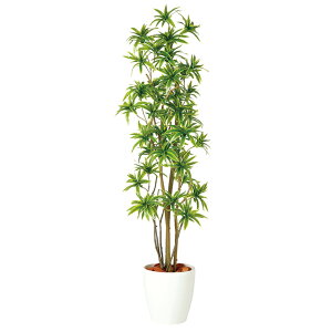 yő10%OFFN[|P10{! BFzϗtA lH  \OEIuECfBA FST 1800mm LTCY :RP-300 i