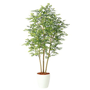 yő10%OFFN[|P10{! BFzϗtA lH  S[f[t FST 1800mm LTCY :RP-300 i