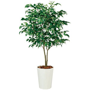 yő10%OFFN[|P10{! BFzϗtA lH  xW~ Ch FST 1500mm MTCY :NH[c300 i