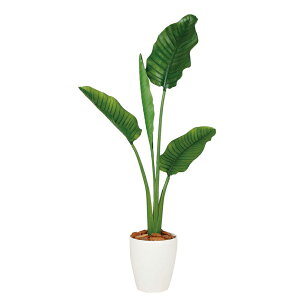 yő10%OFFN[|P10{! BFzϗtA lH  Xg`AEI[KX^ 1300mm STCY :RP-225 i