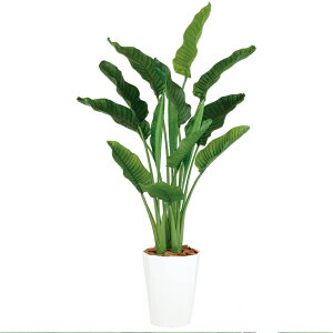 yő10%OFFN[|P10{! BFzϗtA lH  Xg`AEI[KX^ MIX 1700mm MTCY :NH[c300 i