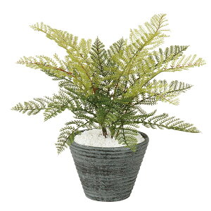 yő10%OFFN[|P10{! BFzϗtA lH  tFU[t@ 300mm PTCY :PEhS(BK) i